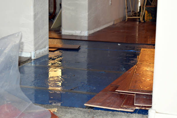 Professional Sewage Cleanup technician working in Marshall, MO
